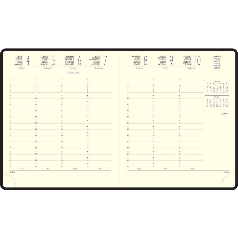 EXACOMPTA Semainier Bureau Eurotime 18 Sapporo Carpes 15x17cm