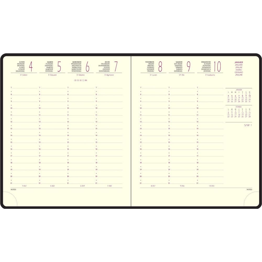 EXACOMPTA Semainier Bureau Eurotime 18 Sapporo Chat 15x17cm