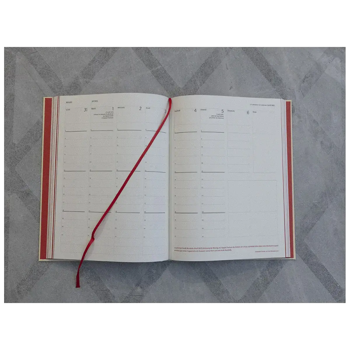 GALLIMARD Agenda Litteraire Grand Format 12 Mois 2027 19,5 x 25cm