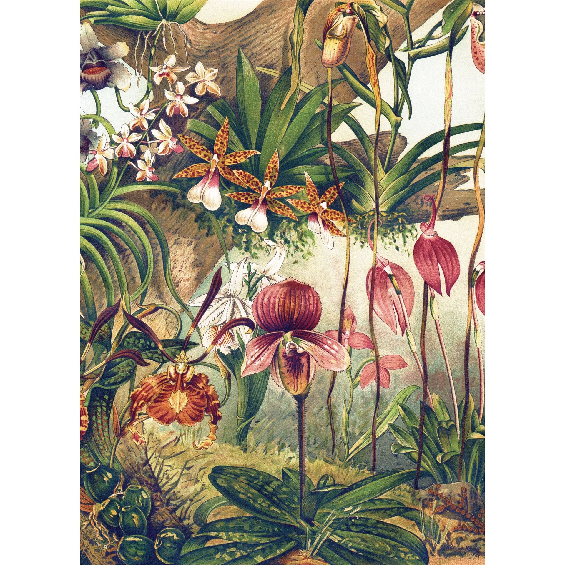 KIUB Puzzle 1000 Pcs + Pochon The Dybdahl V Foret Orchidee