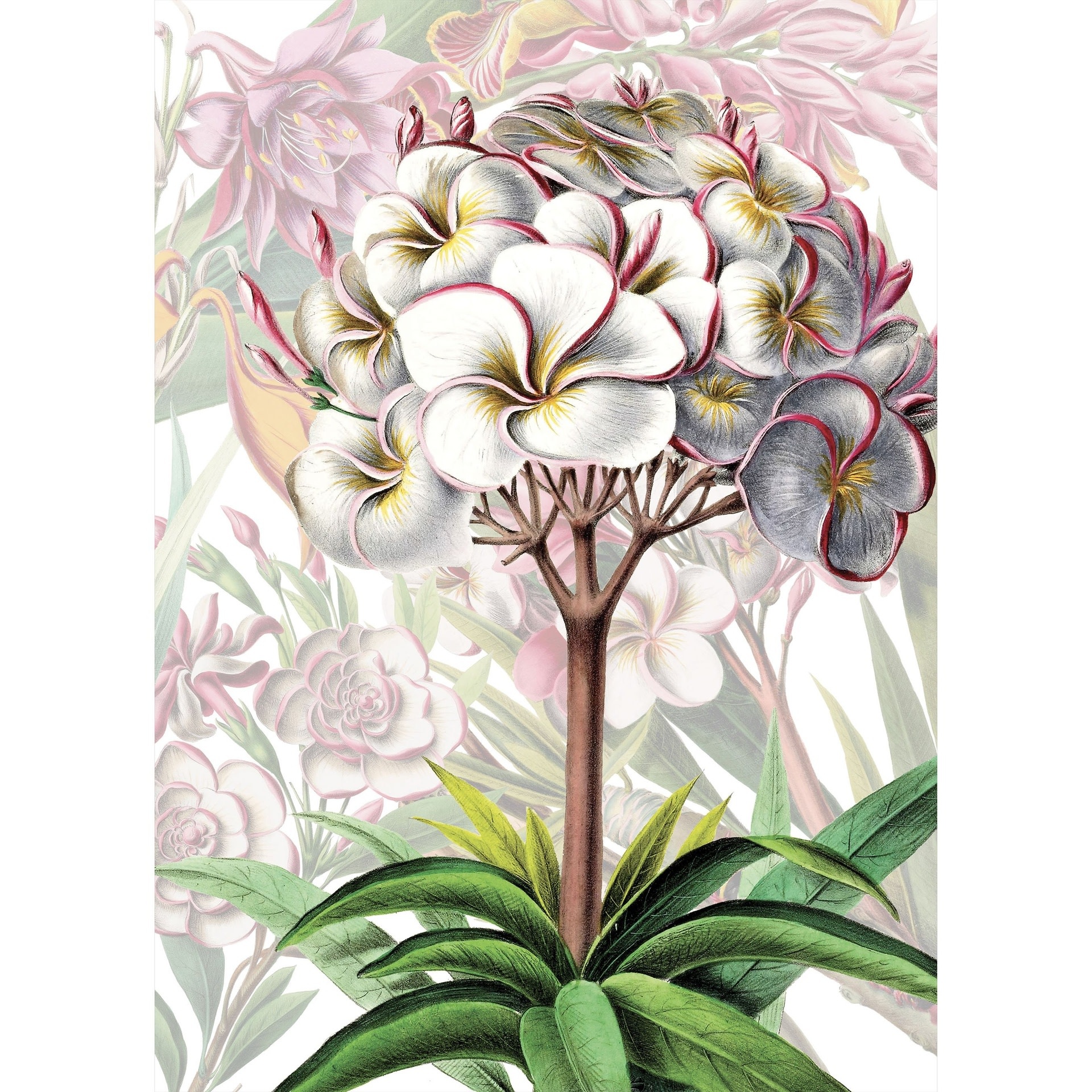 KIUB Puzzle 1000 Pcs + Pochon The Dybdahl V Fleur Tropicale