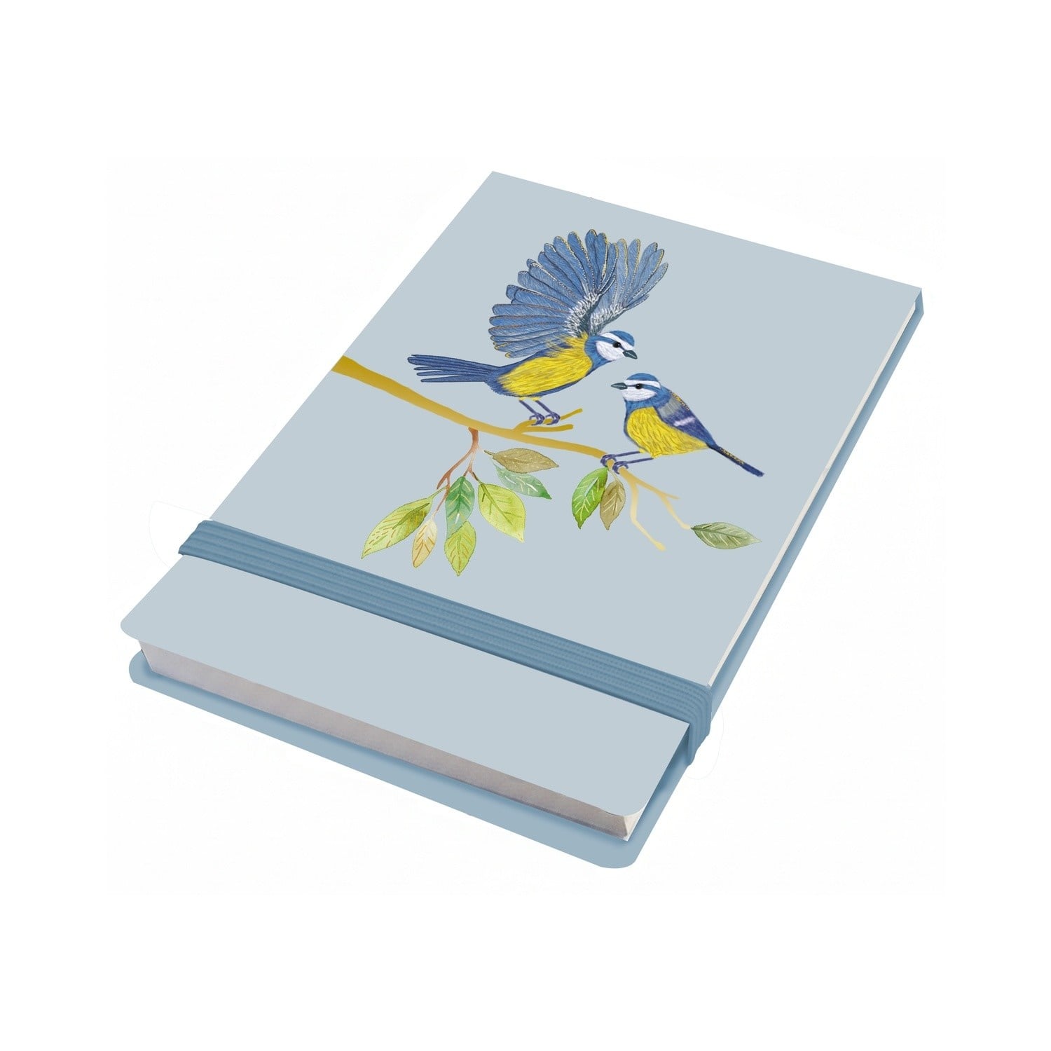 EDITIONS DU DESASTRE Icones - Carnet souple simili cuir B7 - Mésange 8x12cm 192p blanches