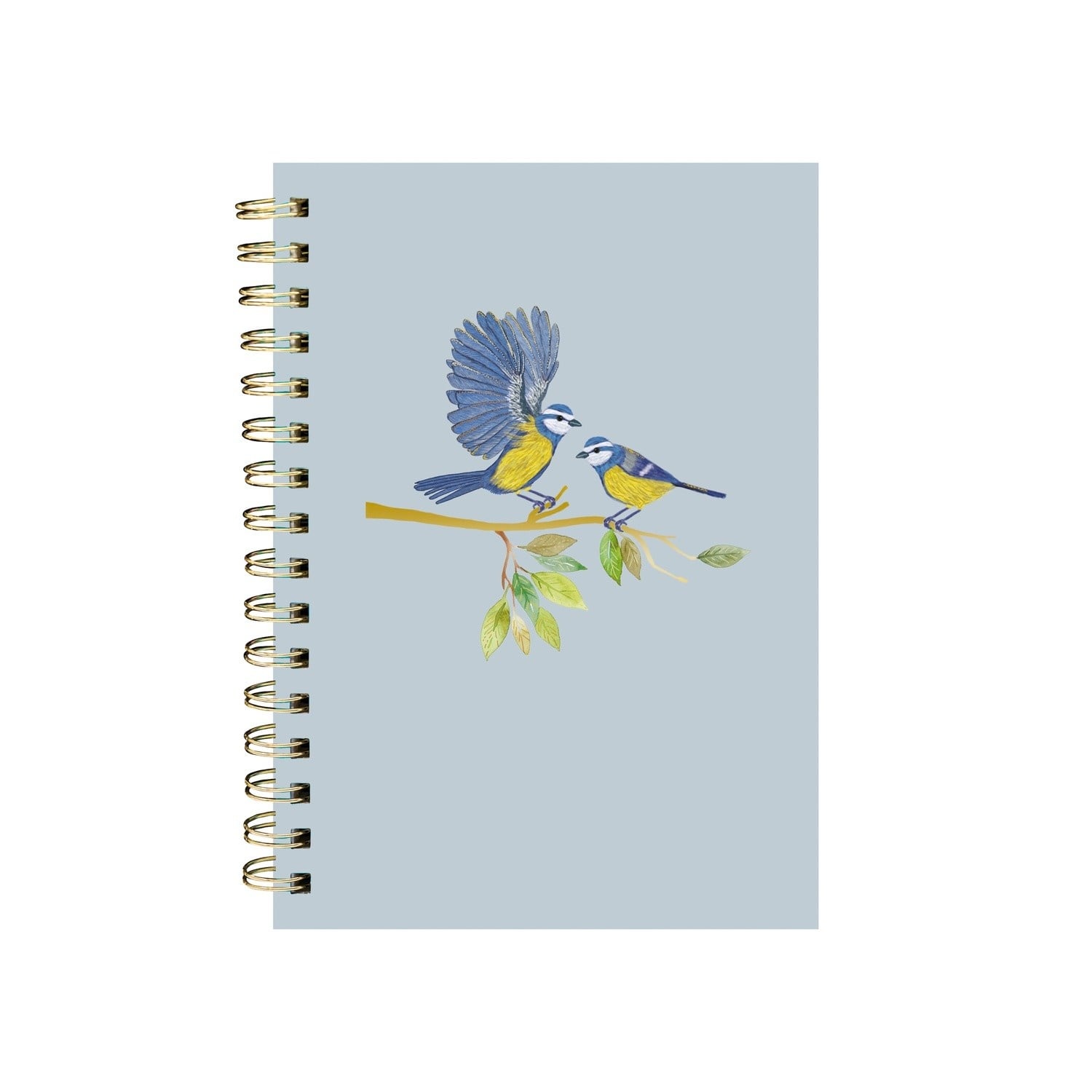 EDITIONS DU DESASTRE Icones - Carnet À Spirales - Mésange 16x21cm 192p lignées
