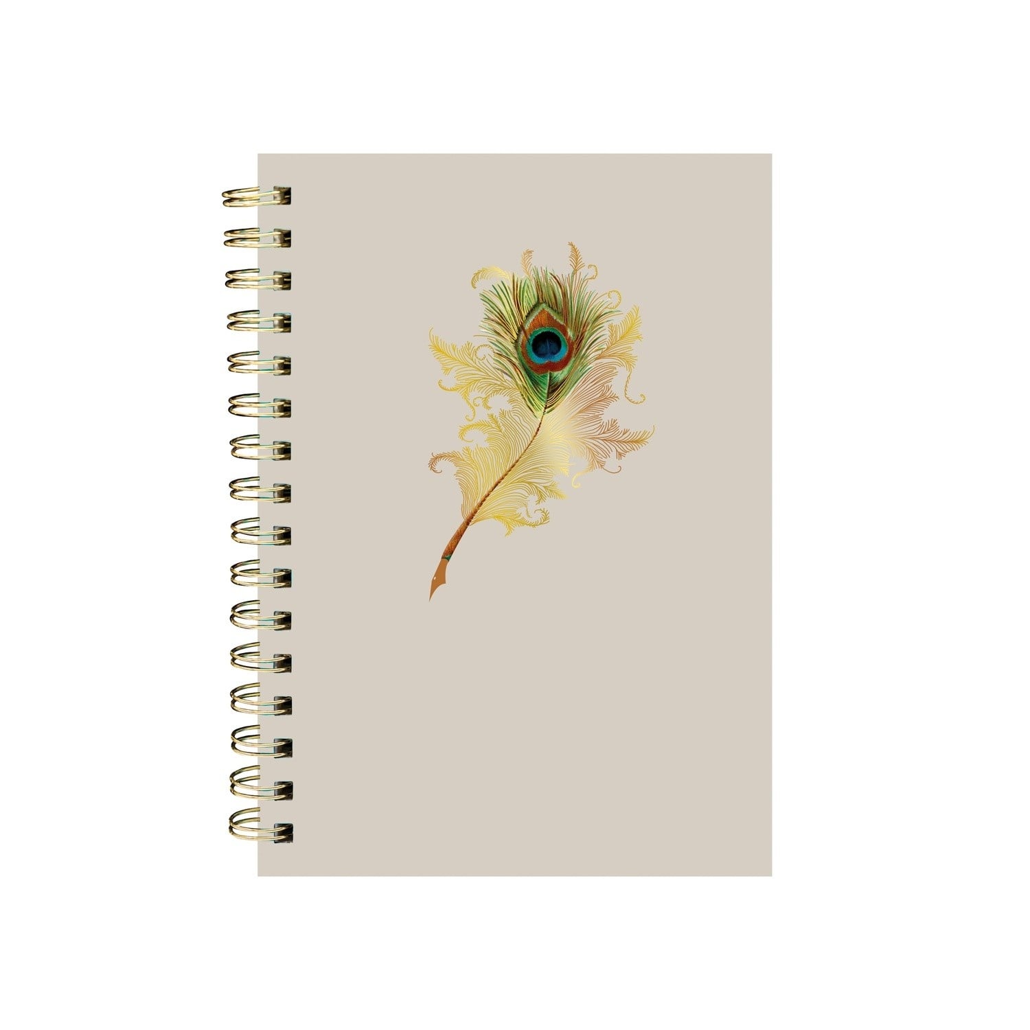 EDITIONS DU DESASTRE Icones - Carnet À Spirales - Plume 16x21cm 192p lignées