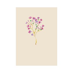 EDITIONS DU DESASTRE Icones - Cahier - Cerisier 15x21cm 48p lignées