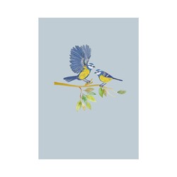 EDITIONS DU DESASTRE Icones - Cahier - Mésange 15x21cm 48p lignées