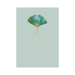 EDITIONS DU DESASTRE Icones - Cahier - Ginkgo 15x21cm 48p lignées