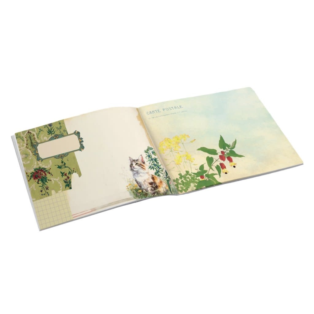 Cahier Illustre 48 Pages 21 X 15 Cm - Chat