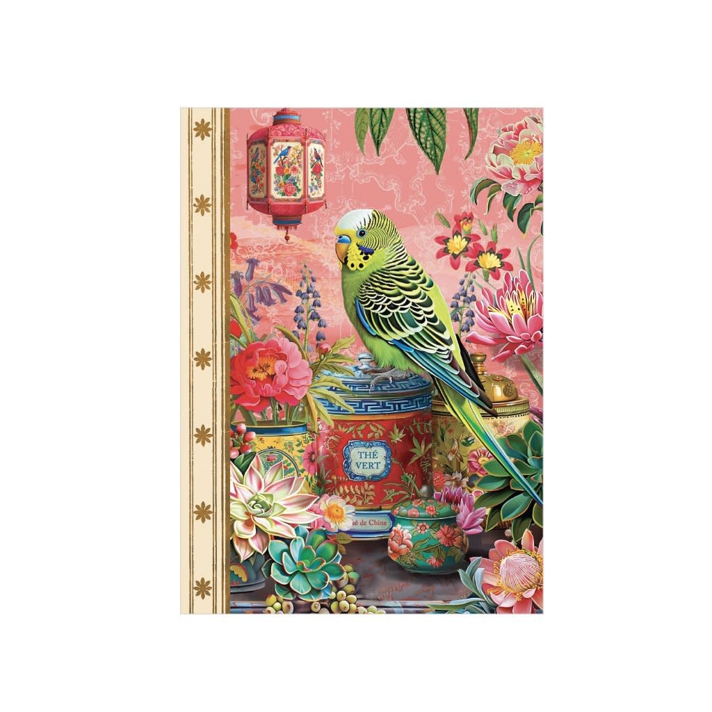 Carnet Mot De Passe 48 Pages 10 X 15 Cm - Perruche Boite A The