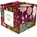 LES JOLIES PLANCHES Puzzle Jardin 500 Pièces Collectifs