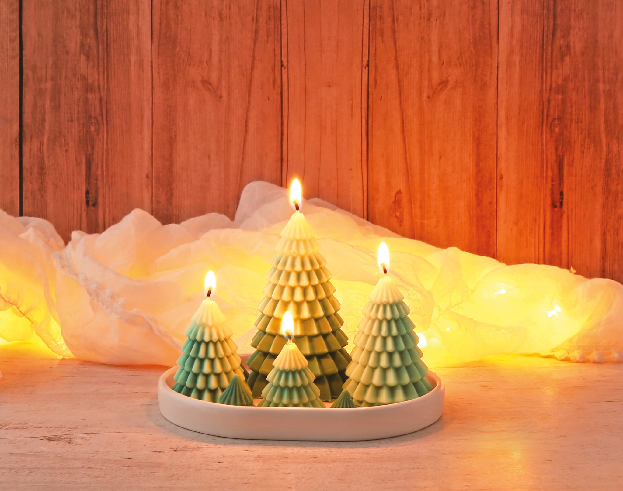 GRAINE CREATIVE Kit Bougies Forêt De Sapins