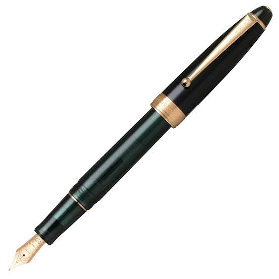 PILOT Stylo plume Custom Ns Vert Nature M - En Coffret