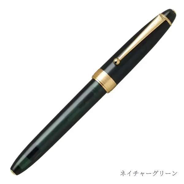 PILOT Stylo plume Custom Ns Vert Nature M - En Coffret