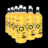 QNT QNT Drinks L-carnitine - Orange 24 flesjes