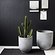 House Doctor Gard FlowerPot Betonoptik gesetzt House Doctor Gard FlowerPot Betonoptik gesetzt