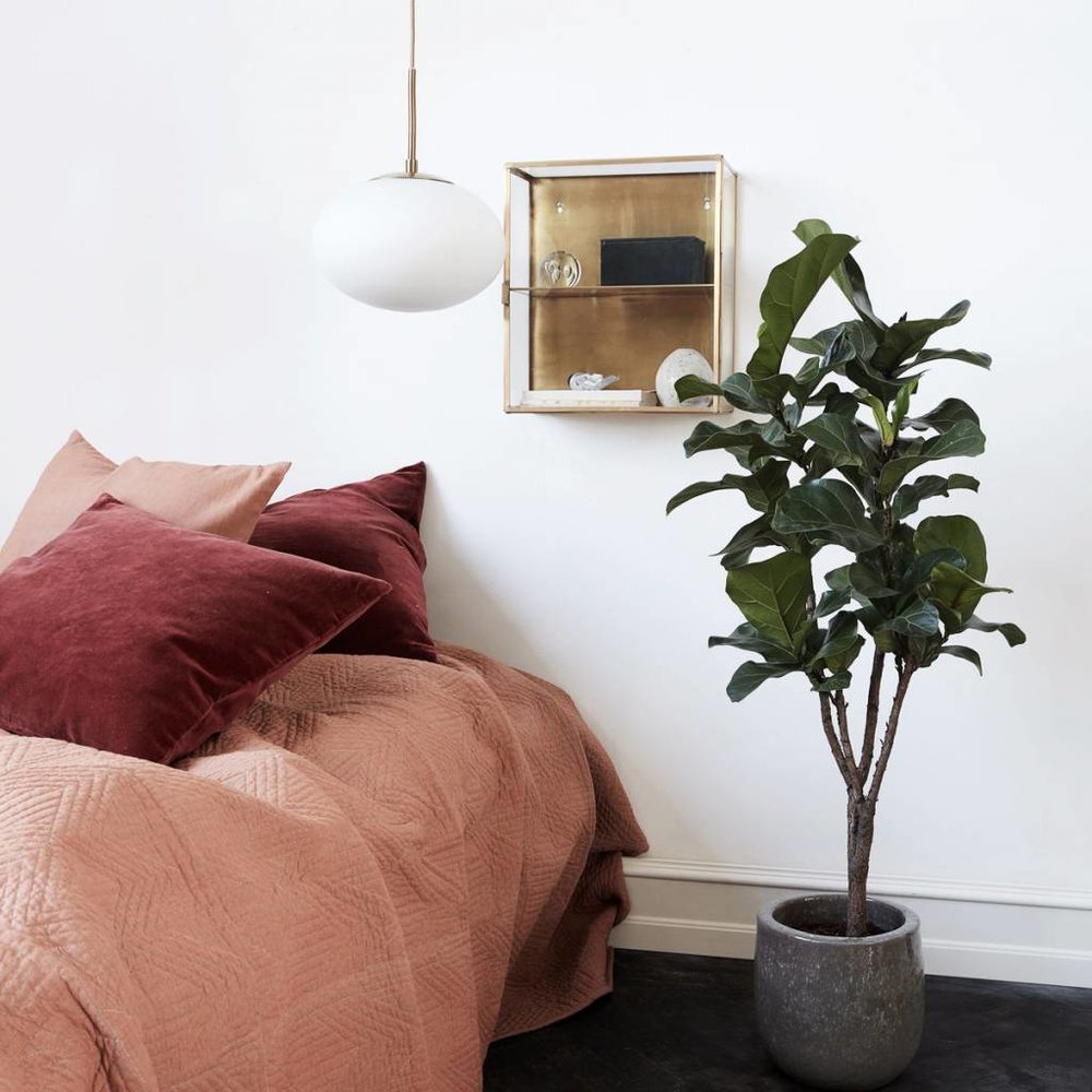 House Doctor Showcase mässing med glashylla och dörr