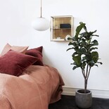 House Doctor Cabinet brass with glass shelve and door House Doctor Cabinet brass with glass shelve and door