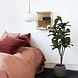 Cabinet brass with glass shelve and door Cabinet brass with glass shelve and door