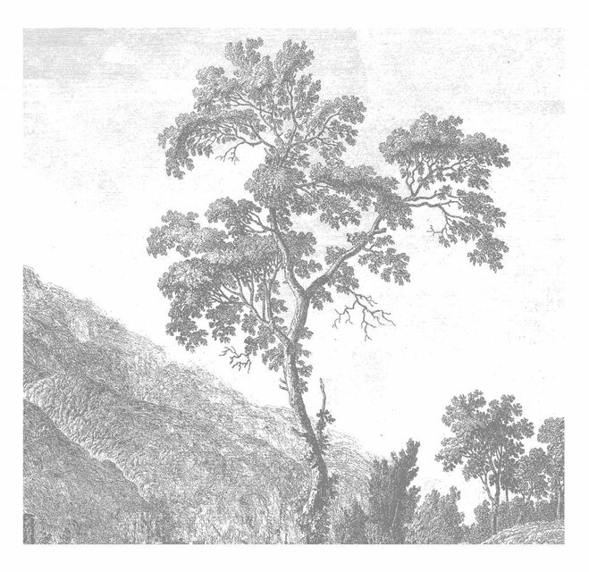 KEK Amsterdam Engraved Landscapes behang