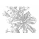 KEK Amsterdam Engraved Flowers behang KEK Amsterdam Engraved Flowers behang