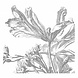 KEK Amsterdam Engraved Flowers behang KEK Amsterdam Engraved Flowers behang