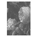 KEK Amsterdam Black & White Flowers behang KEK Amsterdam Black & White Flowers behang