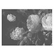 KEK Amsterdam Black & White Flowers behang KEK Amsterdam Black & White Flowers behang
