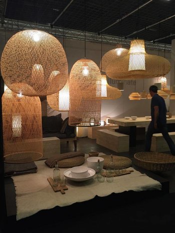 Ay outlet illuminate bamboo