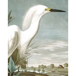 KEK Amsterdam Panel de papel tapiz Snowy Heron KEK Amsterdam Panel de papel tapiz Snowy Heron