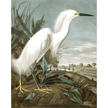 KEK Amsterdam Pannello per sfondi Snowy Heron