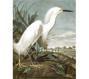 KEK Amsterdam Bakgrunnspanelet Snowy Heron KEK Amsterdam Bakgrunnspanelet Snowy Heron