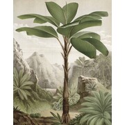 KEK Amsterdam Behangpaneel Banana Tree