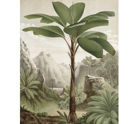 KEK Amsterdam Behangpaneel Banana Tree KEK Amsterdam Behangpaneel Banana Tree