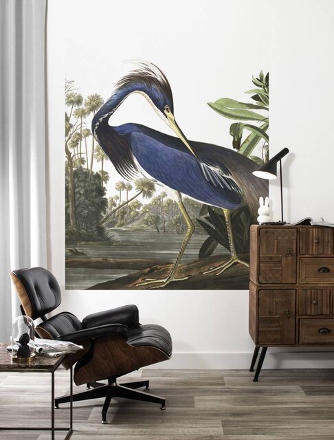 KEK Amsterdam Bakgrundspanel Louisiana Heron