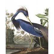 KEK Amsterdam Bakgrundspanel Louisiana Heron KEK Amsterdam Bakgrundspanel Louisiana Heron