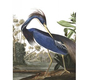 KEK Amsterdam Wallpaper panel Louisiana Heron KEK Amsterdam Wallpaper panel Louisiana Heron