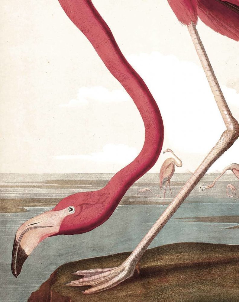 KEK Amsterdam Wallpaper panel Flamingo KEK Amsterdam Wallpaper panel Flamingo