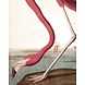 KEK Amsterdam Behangpaneel Flamingo KEK Amsterdam Behangpaneel Flamingo