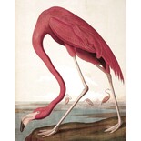 KEK Amsterdam Wallpaper panel Flamingo KEK Amsterdam Wallpaper panel Flamingo