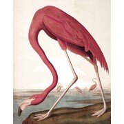 KEK Amsterdam Wallpaper panel Flamingo KEK Amsterdam Wallpaper panel Flamingo