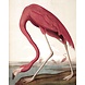 KEK Amsterdam Behangpaneel Flamingo KEK Amsterdam Behangpaneel Flamingo