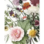 KEK Amsterdam Papel tapiz de flores silvestres KEK Amsterdam Papel tapiz de flores silvestres