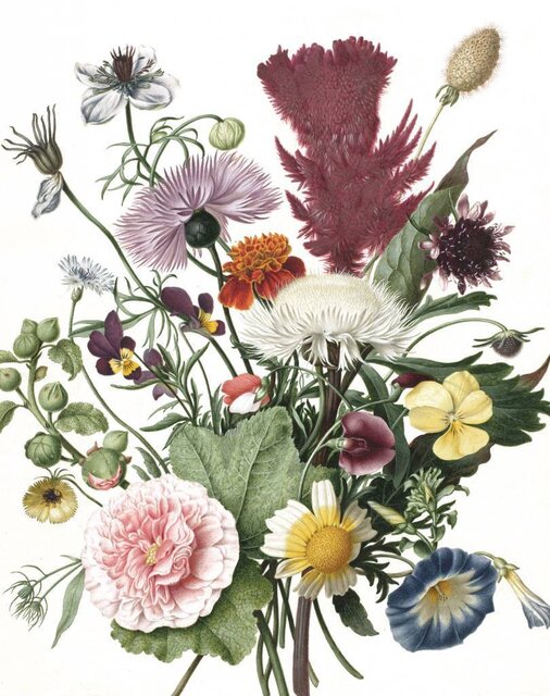 KEK Amsterdam Bakgrund Wild Flowers