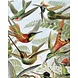 KEK Amsterdam Behangpaneel Exotic Birds KEK Amsterdam Behangpaneel Exotic Birds
