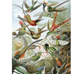 KEK Amsterdam Behangpaneel Exotic Birds KEK Amsterdam Behangpaneel Exotic Birds