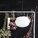 House Doctor Acorn hanglamp wit glas Ø29cm House Doctor Acorn hanglamp wit glas Ø29cm