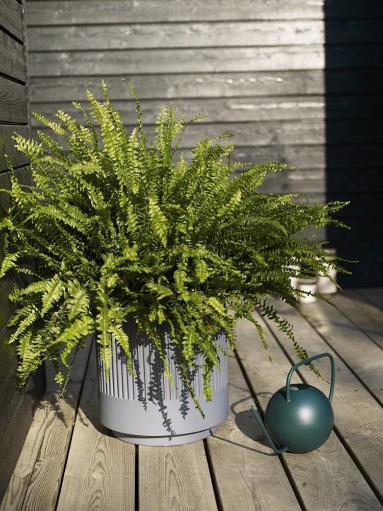 Hubsch Ensemble de pots de fleurs gris foncé Hubsch Ensemble de pots de fleurs gris foncé