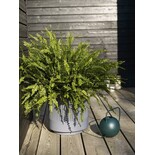 Hubsch Flowerpot set dark gray Hubsch Flowerpot set dark gray