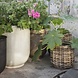 House Doctor Pho bloempot set nougat House Doctor Pho bloempot set nougat