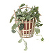Bloomingville Muur bloempot terracotta bamboe Bloomingville Muur bloempot terracotta bamboe